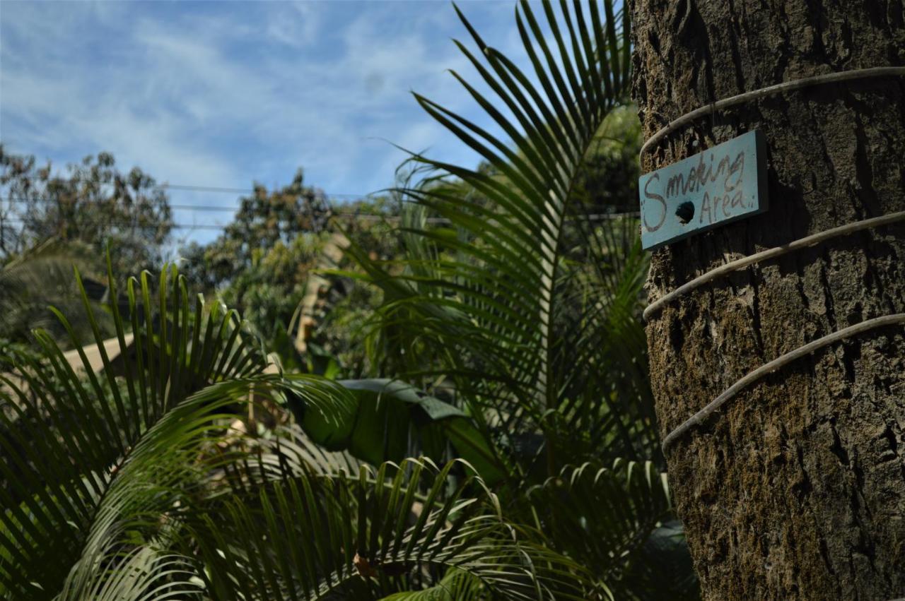 Brunela Soldiers Hostel Playa Santa Teresa  Kültér fotó